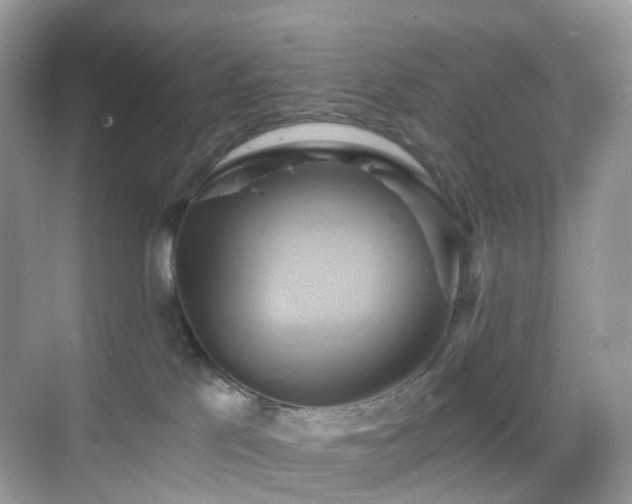 X0000068860041200605051250