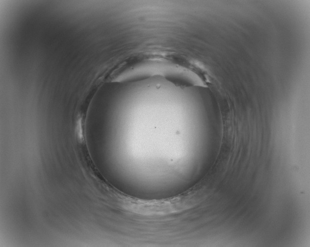 X0000068860042200605051250