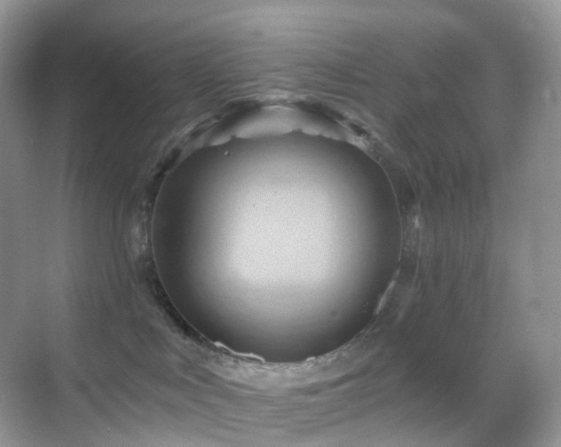 X0000068860043200605051250