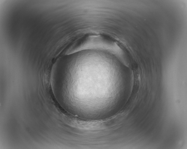 X0000068860044200605051250