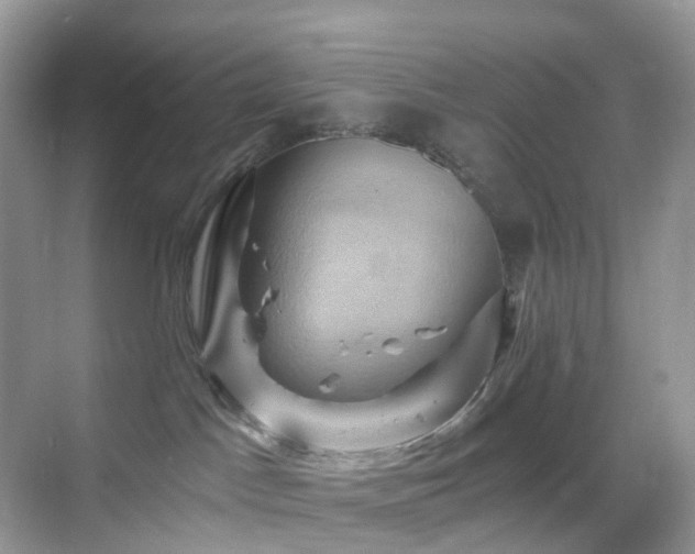 X0000068860045200605051250