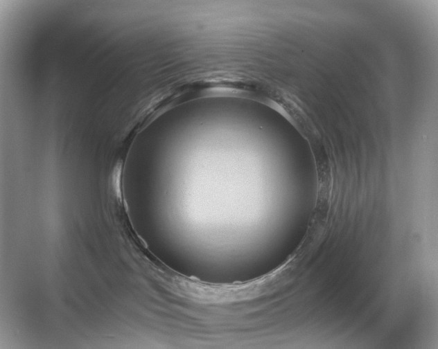 X0000068860047200605051250