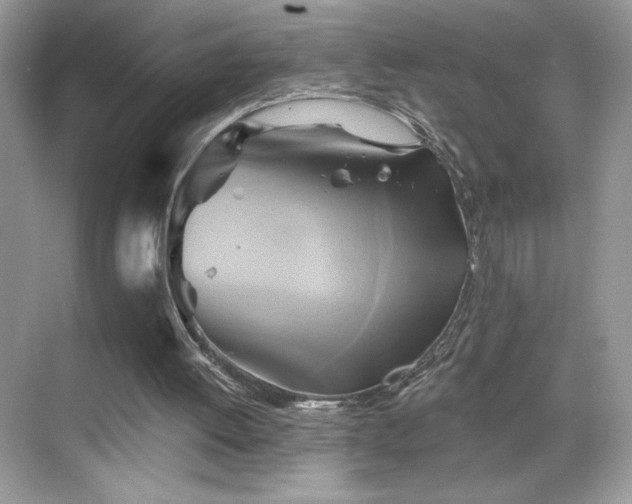 X0000068860052200605051249