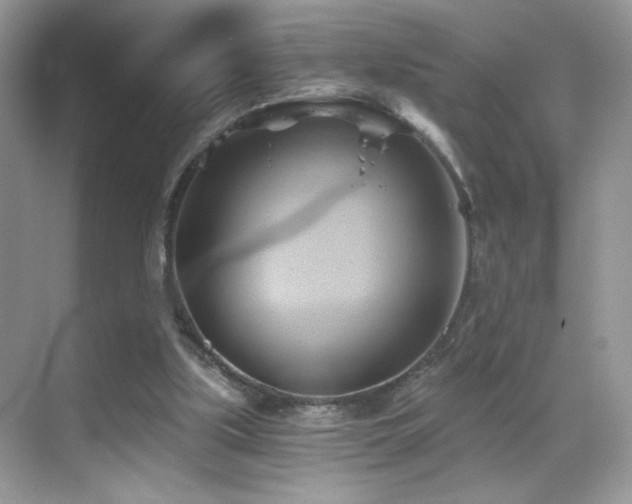 X0000068860059200605051249