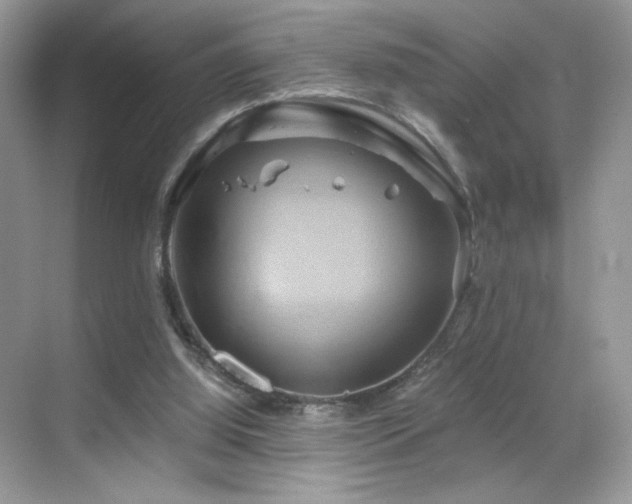 X0000068860060200605051249