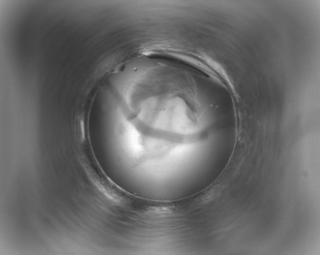 X0000068860061200605051249