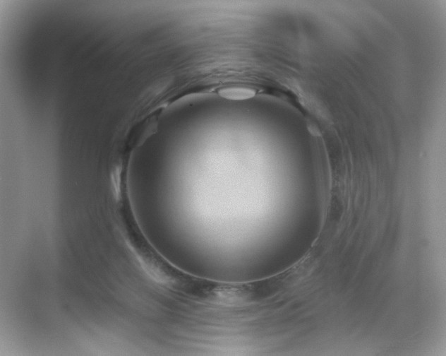X0000068860070200605051249