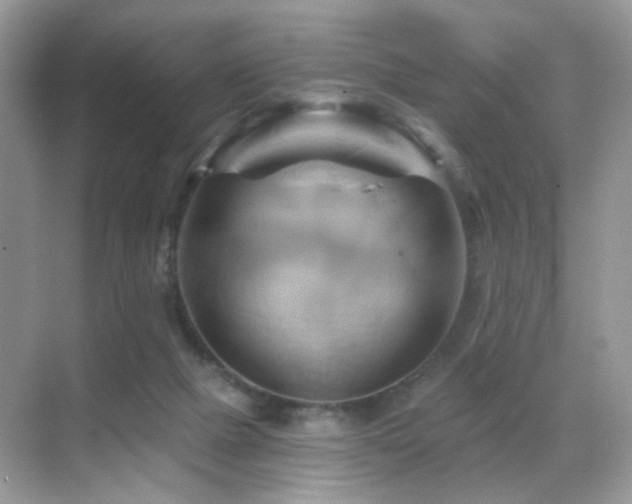 X0000068860073200605051250