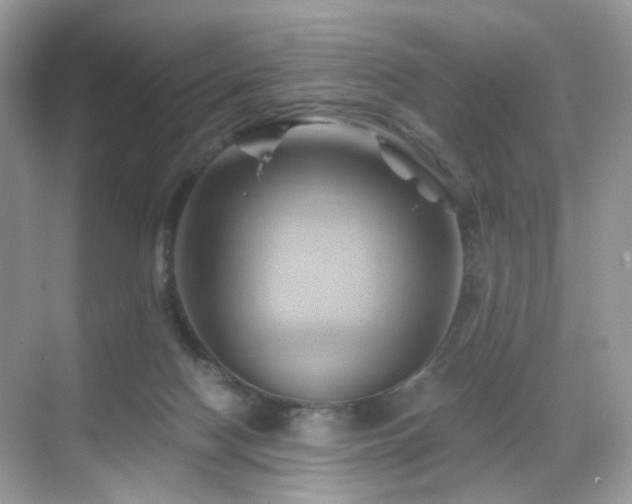 X0000068860074200605051250