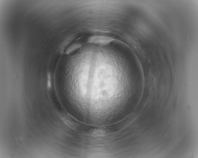 X0000068860075200605051250