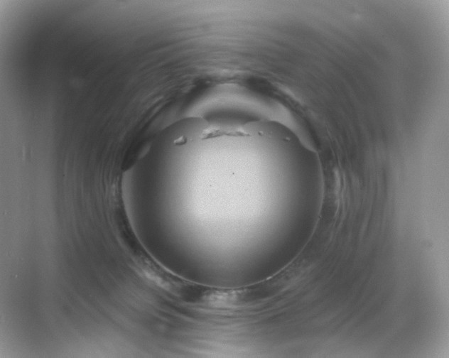 X0000068860084200605051250