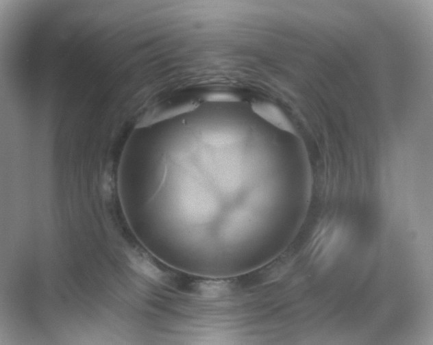 X0000068860085200605051250