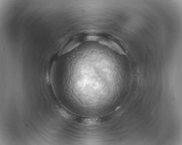 X0000068860089200605051250