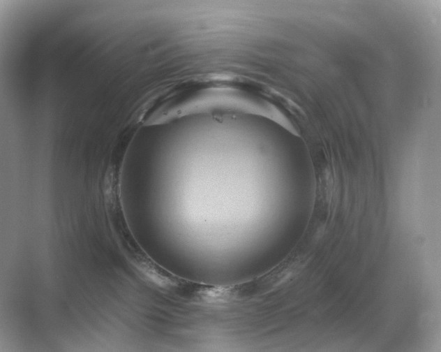 X0000068860092200605051250