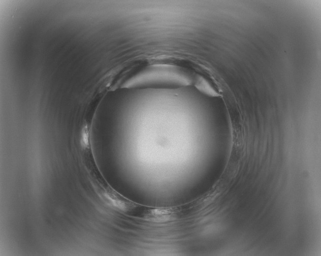 X0000068860095200605051250