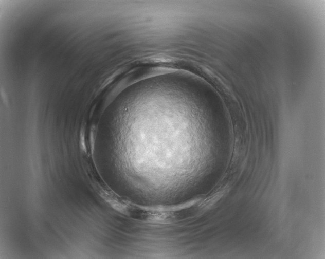 X0000068860096200605051250