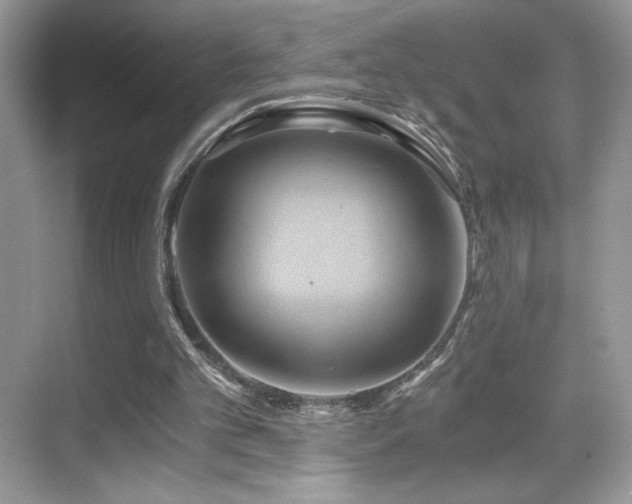 X0000068860101200605051249