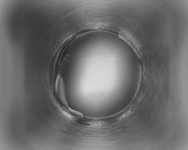 X0000068860105200605051249