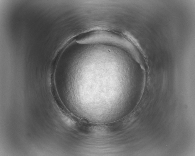 X0000068860106200605051249
