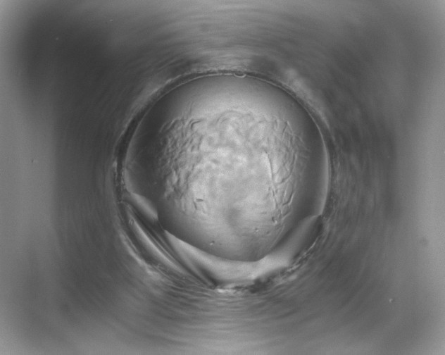 X0000068860107200605051249