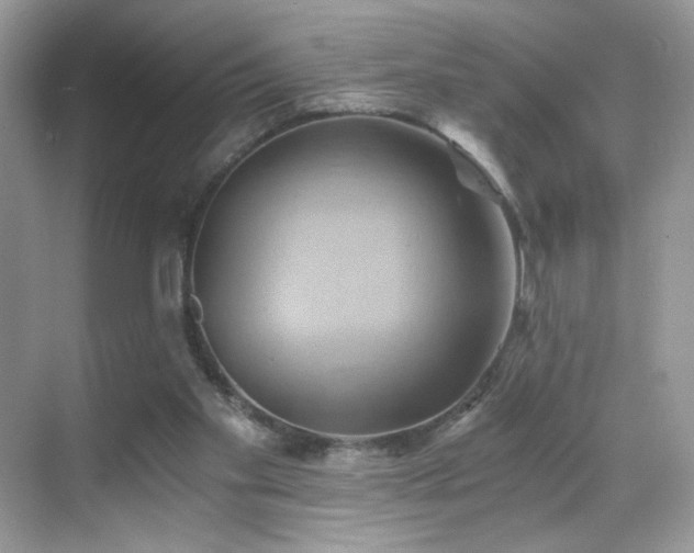 X0000068860109200605051249