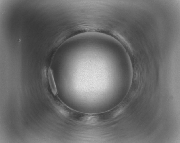X0000068860117200605051249