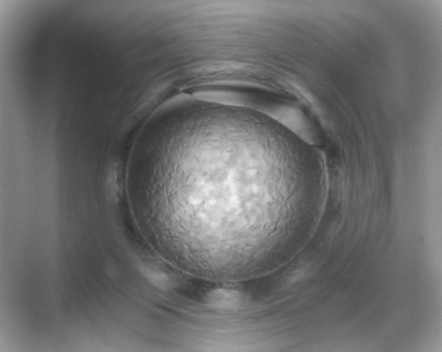 X0000068860119200605051249