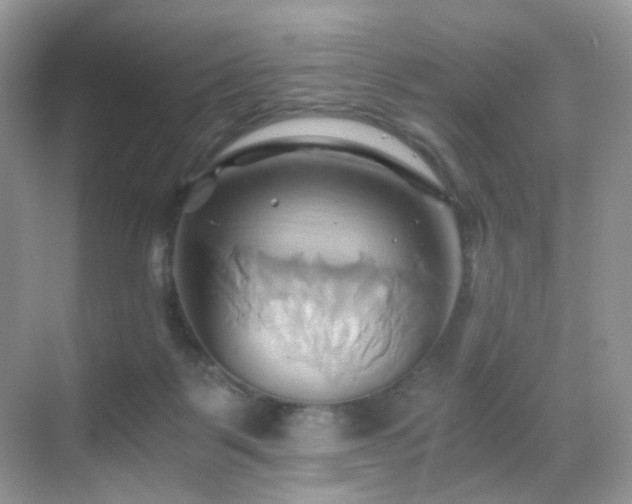 X0000068860123200605051249