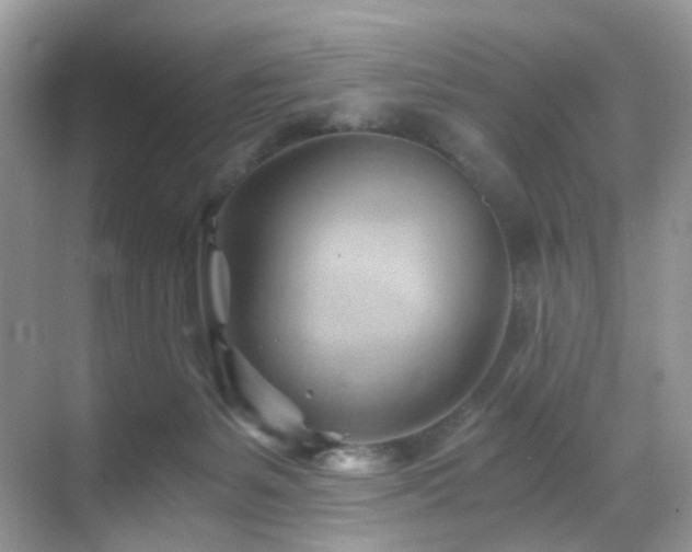 X0000068860127200605051249