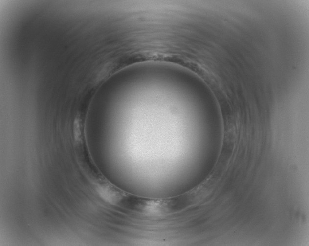 X0000068860130200605051249