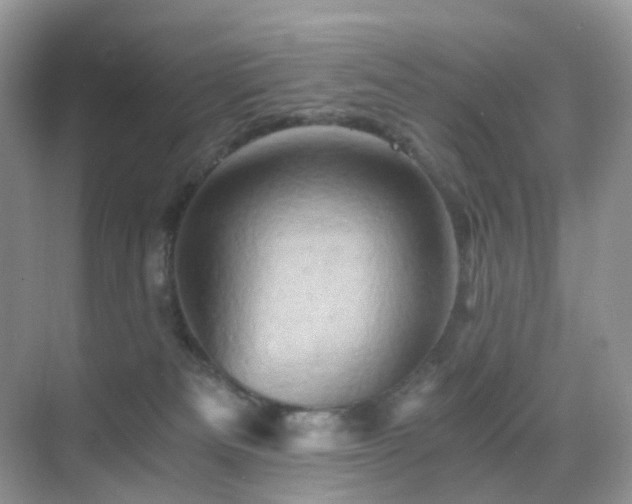 X0000068860133200605051248