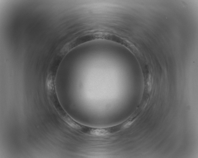 X0000068860137200605051248