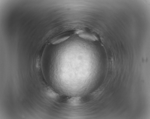 X0000068860138200605051248