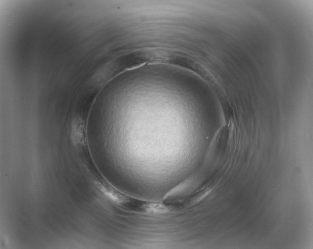 X0000068860141200605051248