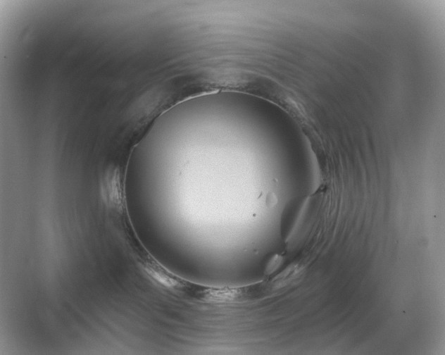 X0000068860143200605051248
