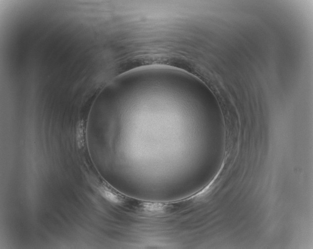 X0000068860144200605051248