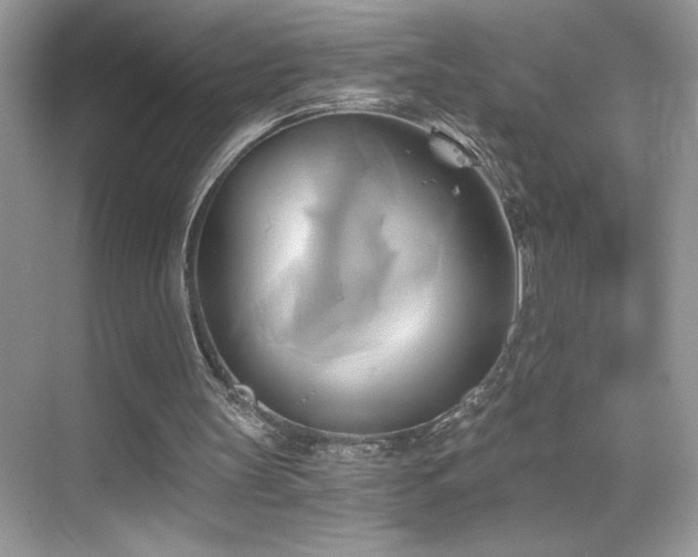 X0000068860147200605051248