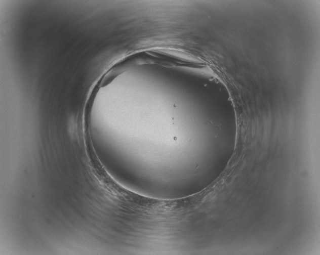 X0000068860148200605051248