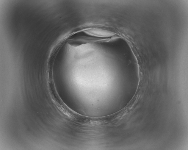 X0000068860149200605051248