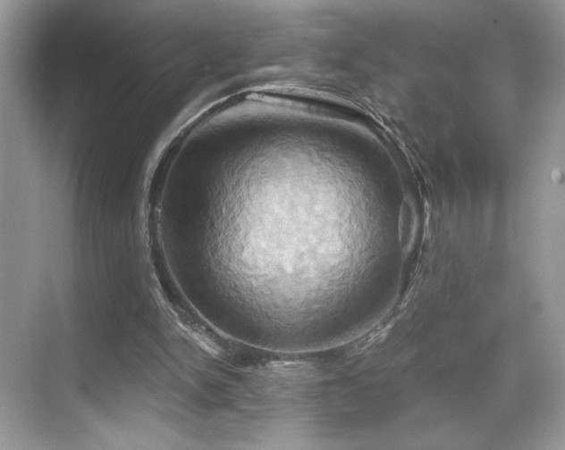 X0000068860150200605051248