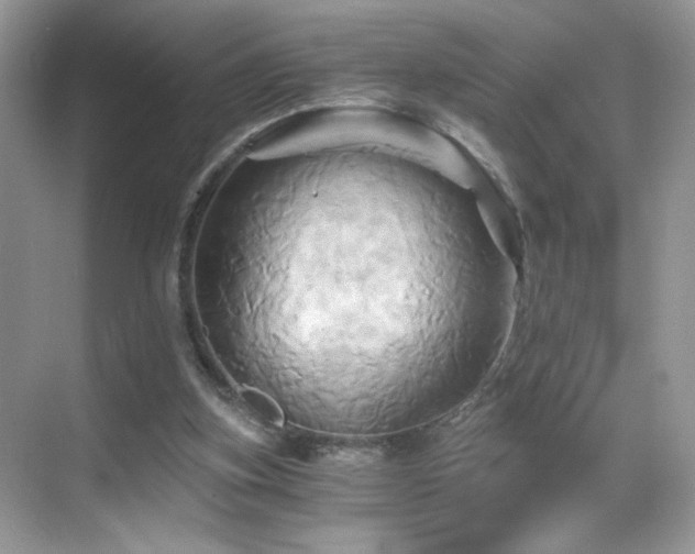X0000068860155200605051248