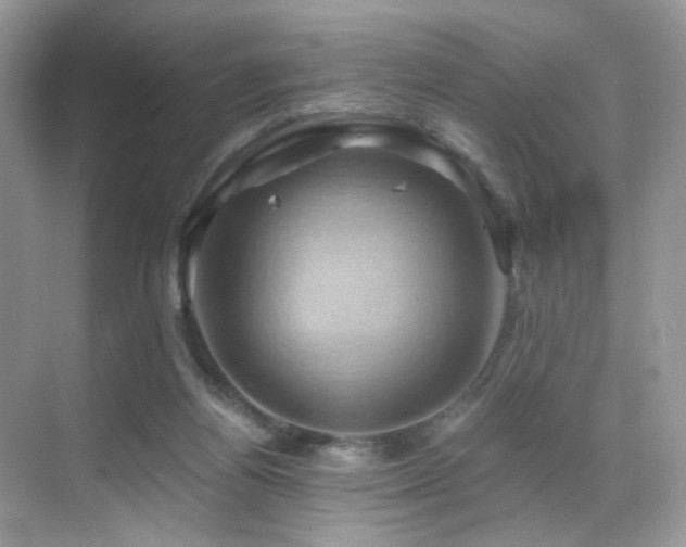 X0000068860164200605051248