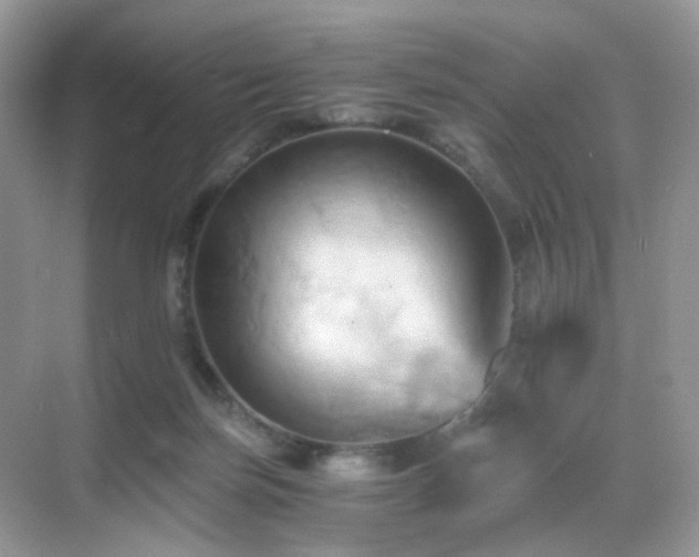 X0000068860171200605051248