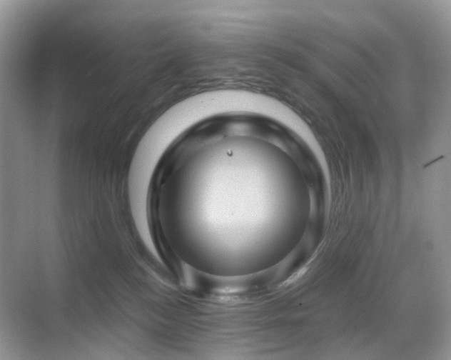 X0000068860184200605051248
