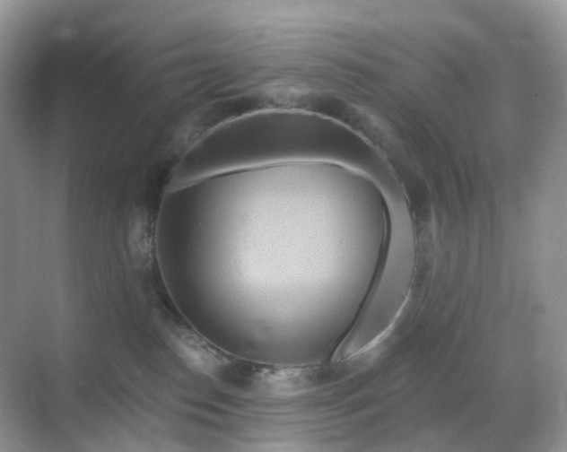 X0000068860186200605051248