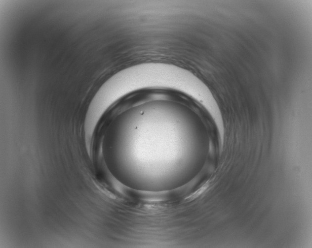 X0000068860188200605051248