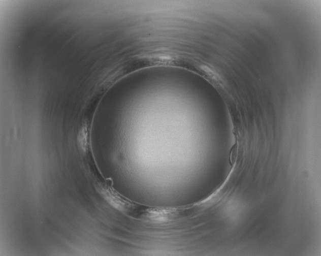 X0000068860190200605051248