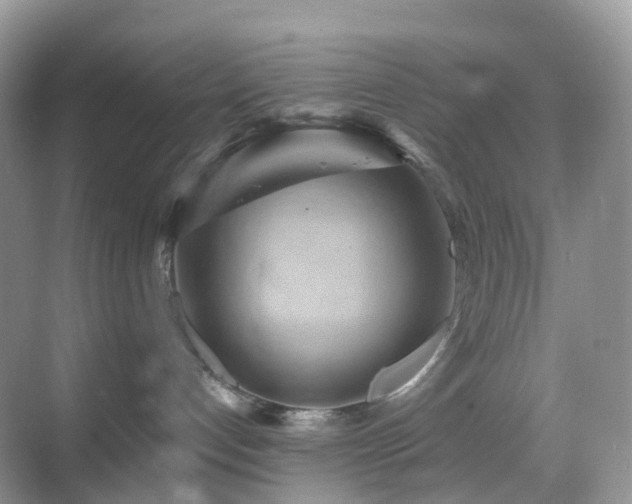 X0000068860192200605051248