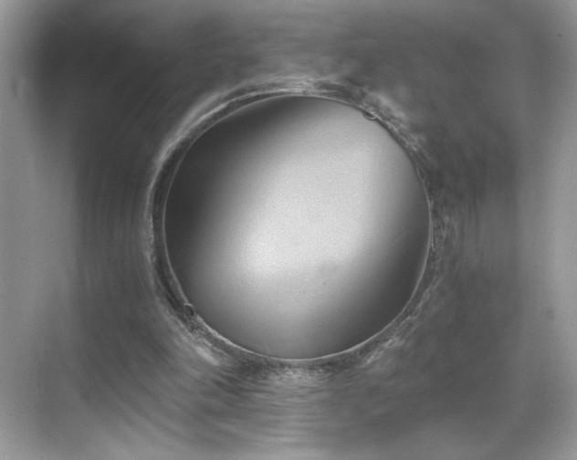 X0000068860198200605051247