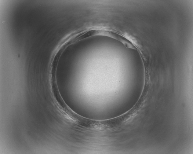 X0000068860199200605051247